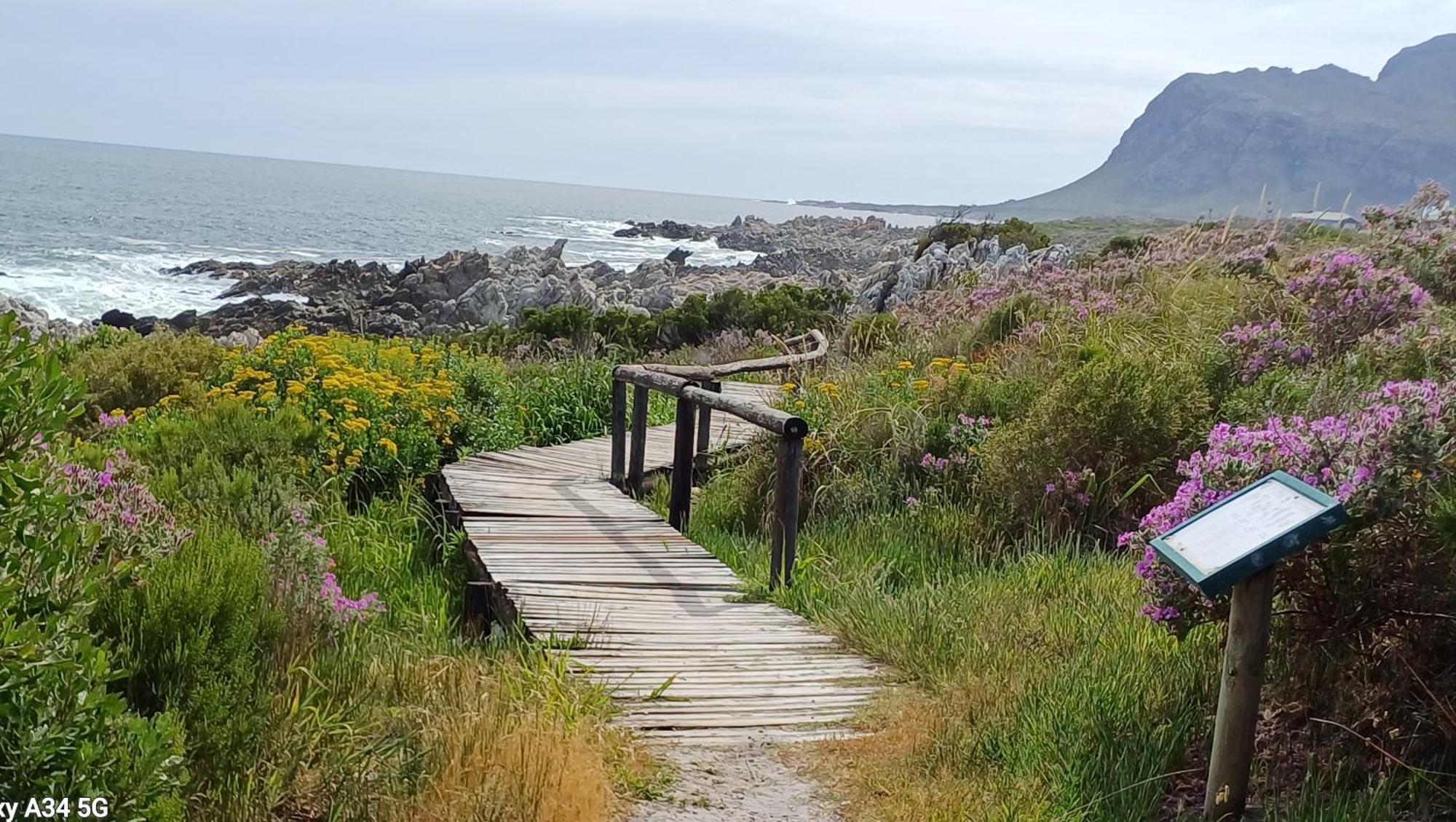 Kleinmond Panorama Holidays ภายนอก รูปภาพ